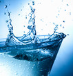 splashing water drops