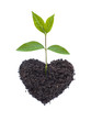 Photo en ligne au meilleur prix Eco Love