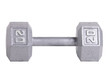 Twenty pound metal dumbbell