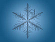 Lite Blue Snowflakes on blue background