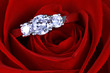 Wedding Ring in Rose, Will you marry me?