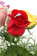 Ring in Rose