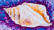 shell oil painted on canvas shell oil painted on canvas