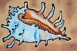 shell oil painted on canvas shell oil painted on canvas