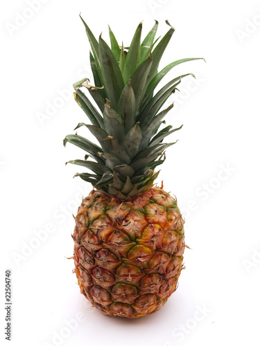 Photo: Single pineapple on white Single pineapple on white