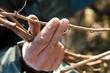 hand