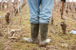 gartenarbeit
