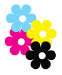 Fiori CMYK Fiori CMYK
