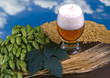 zapfenbier