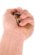 Bargeld