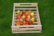 Obststeige