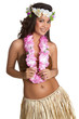Hawaiian Hula Dancer