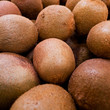 Kiwifruit