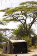 Camp in Africa