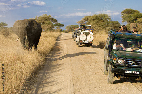 Photo: African Safari African Safari