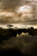 African Landscape
