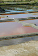 Marais salns - Saline de Guerande