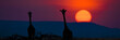 African Sunset