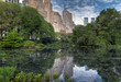 Spring at the pond in Central Park, New York City
