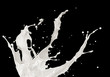 milk splashing