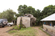 Elephant in Camp