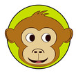 monkey