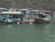 Barcos en la bahía de Ha Long en Vietnam