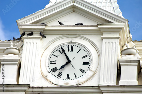 Photo: Birds Checking Time Birds Checking Time