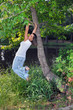 Out on a Limb