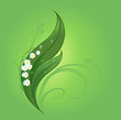 lily of the valley
