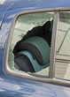 Car window smashed