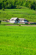 Rural landscape with wheat field and house Rural landscape with wheat field and house