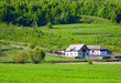 Rural landscape with wheat field and house Rural landscape with wheat field and house