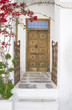 Old Doors and gate with blossoming flowers