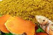 poudre de curcuma, 