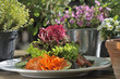 Frischer Salat - Essen