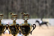 Gold winner cup for equestrian sport Gold winner cup for equestrian sport