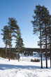 Winter landscape Winter landscape