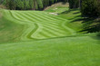 Golfplatz