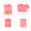 Pink Piggy