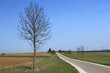 Landstrasse