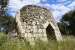 Pajara