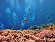 Red Sea