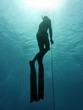 Freediving