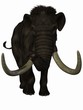 Mammut