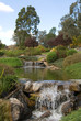 Japanese Garden