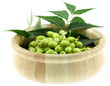 bol de neem, plante médicinale, fruits et feuilles, fond blanc