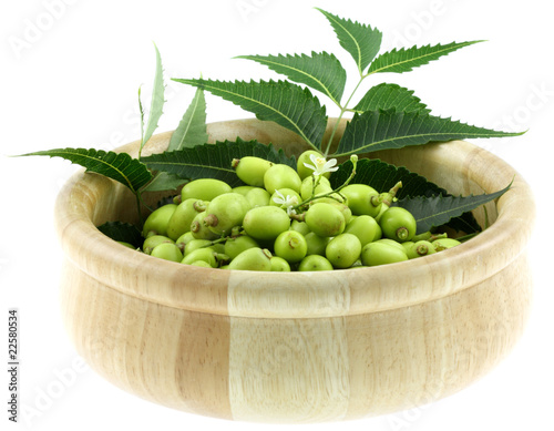 Photo: bol de neem, plante médicinale, fruits et feuilles, fond blanc bol de neem, plante médicinale, fruits et feuilles, fond blanc