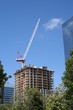 Grue et lune