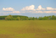 campi di granturco